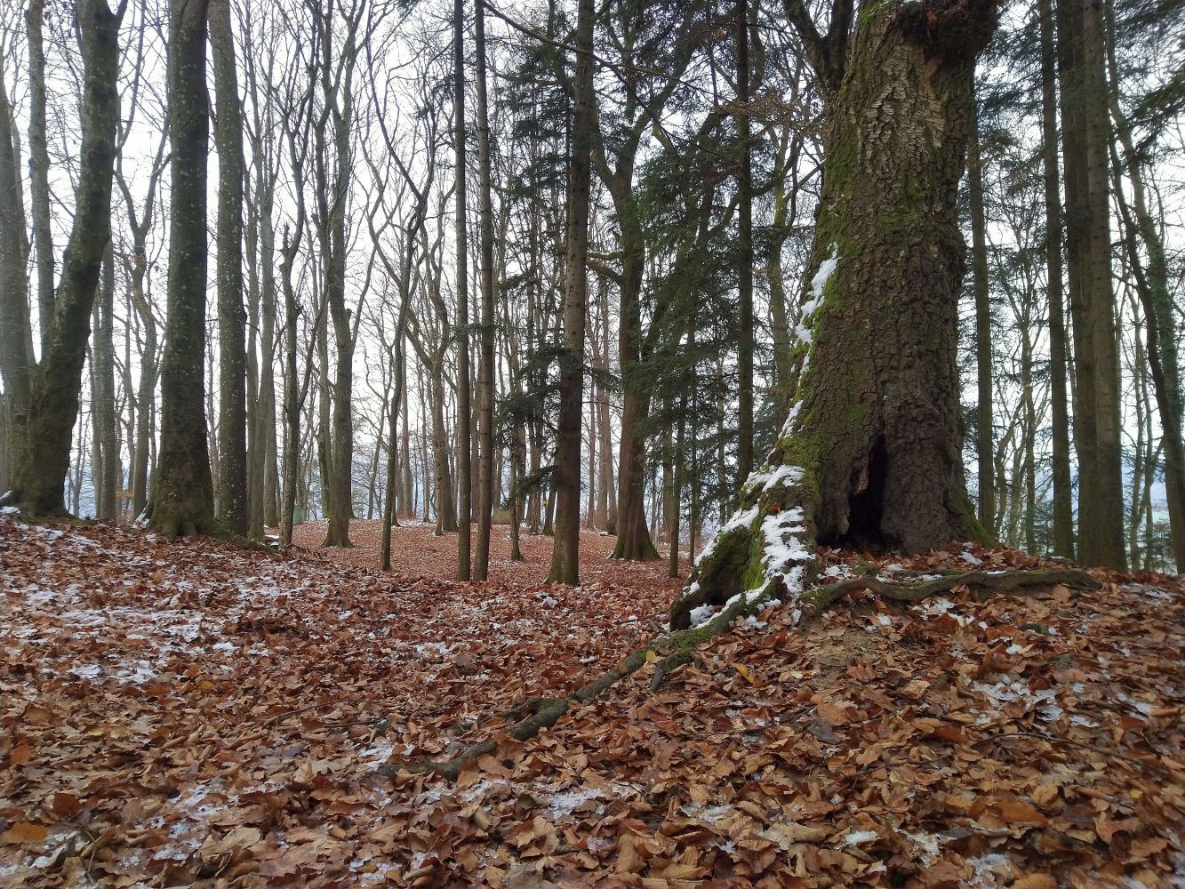 Wirkort auf der Hornebni ob Turgi